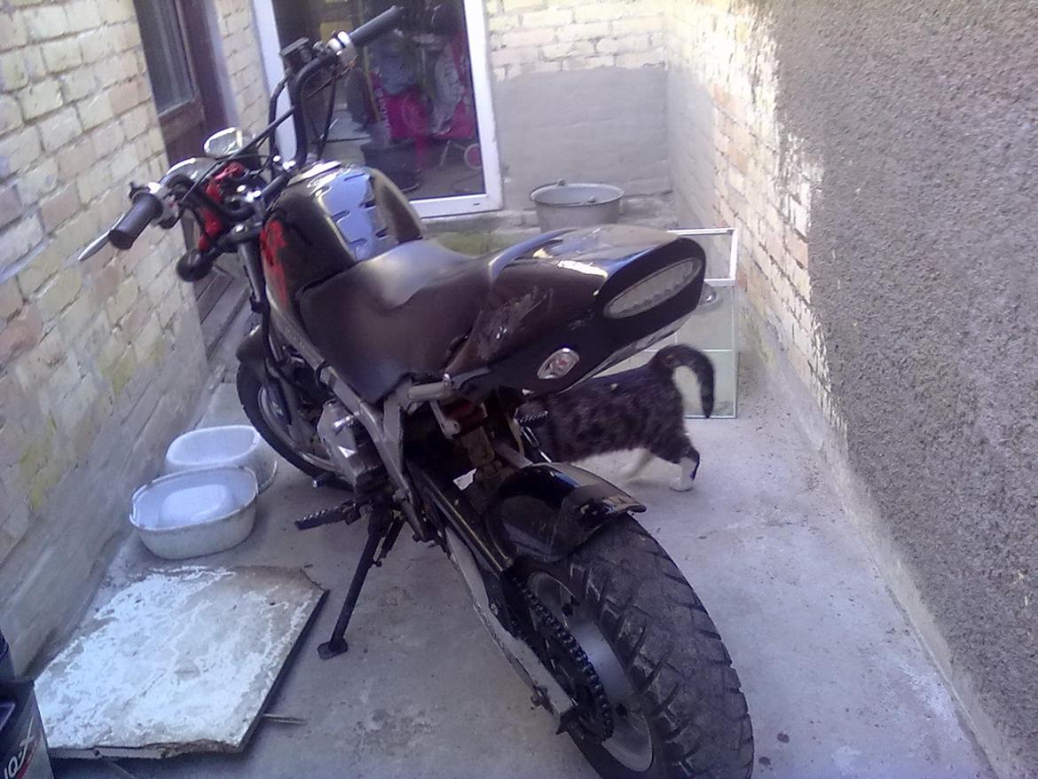 Skyteam pbr BYTTET TIL JOG R billede 12