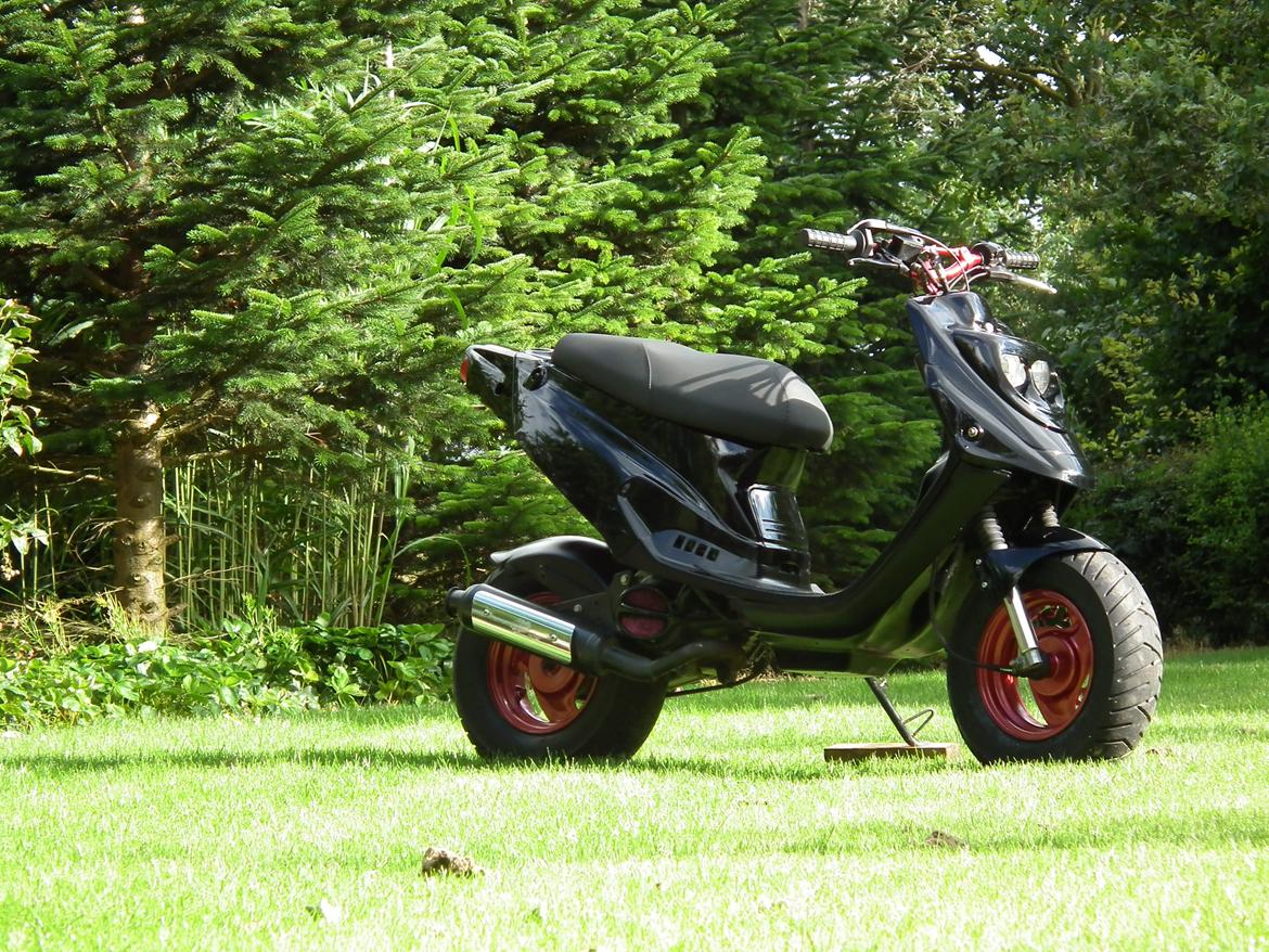 PGO Hot 50 billede 17