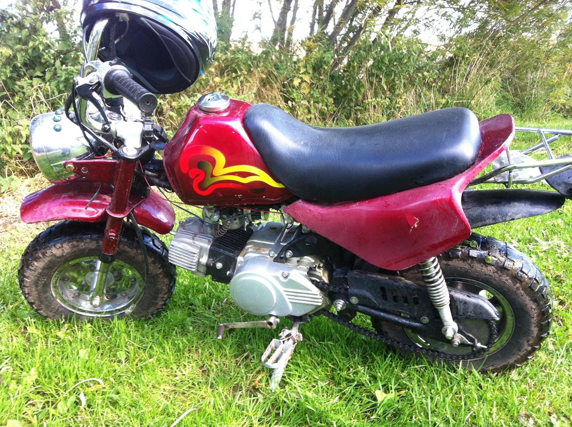 Baotian Monkey billede 1