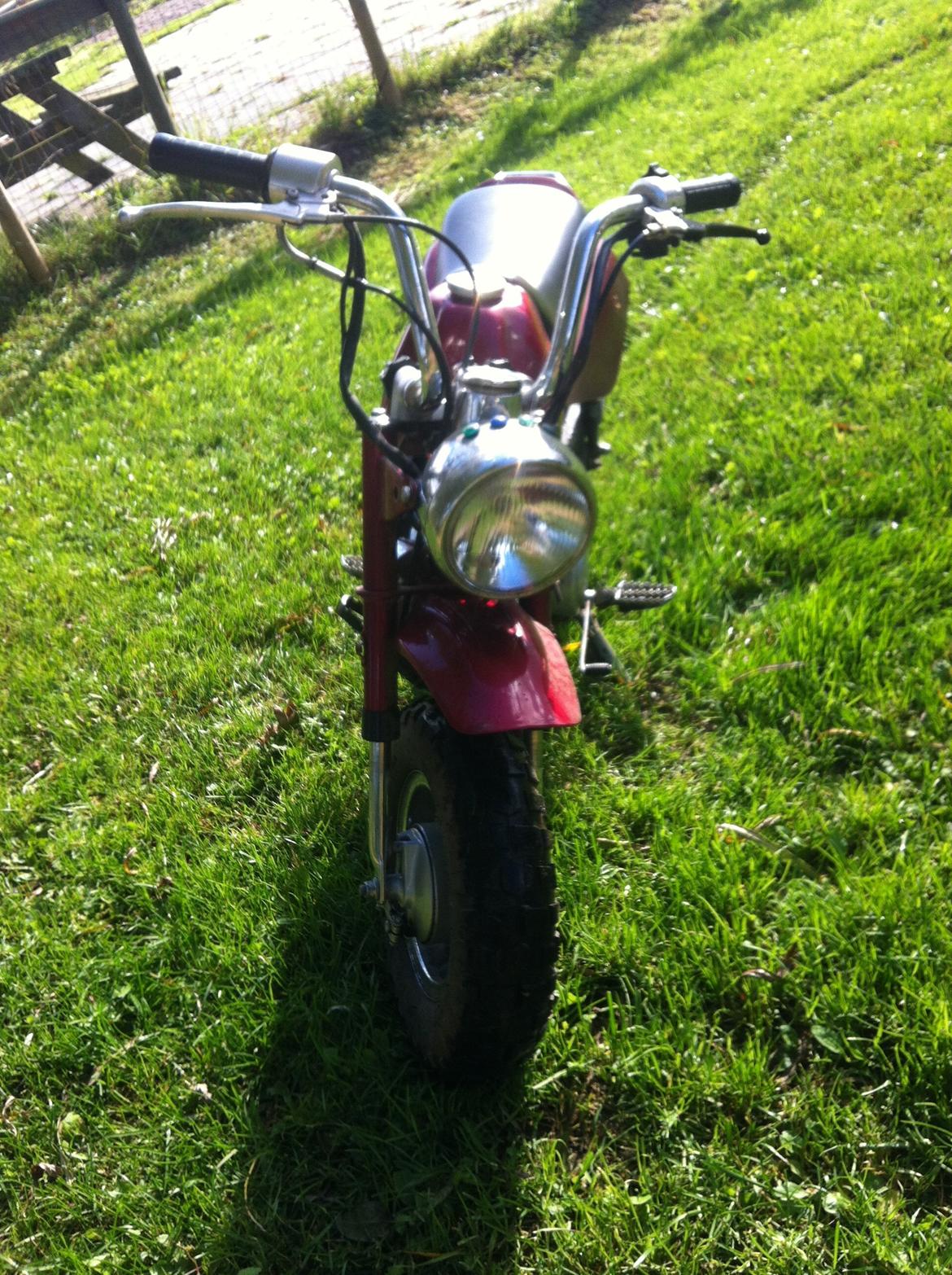 Baotian Monkey billede 6