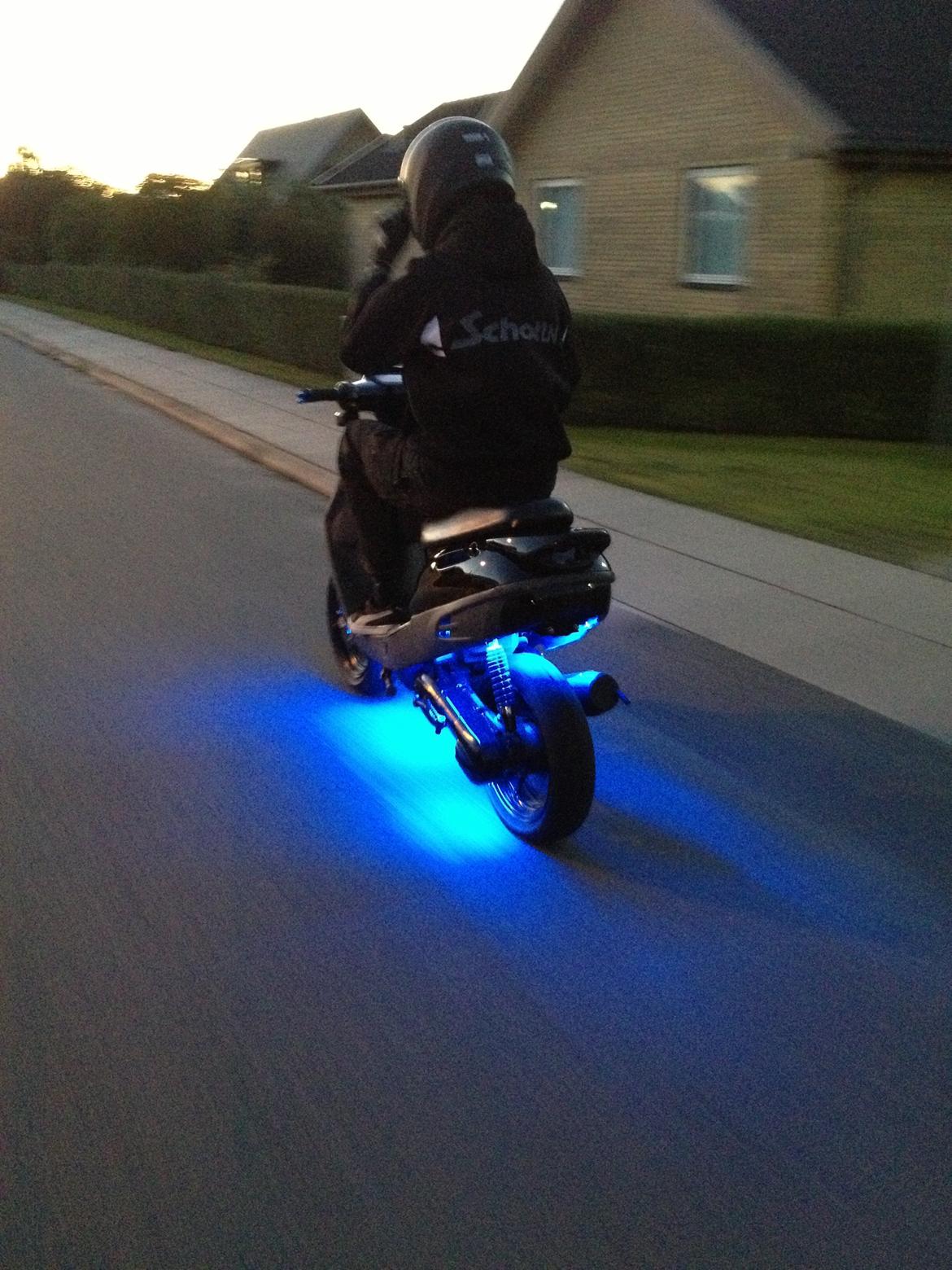 Adly Cat 50 billede 20