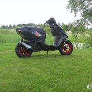Aprilia sonic