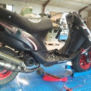 Gilera stalker