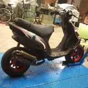 Gilera stalker