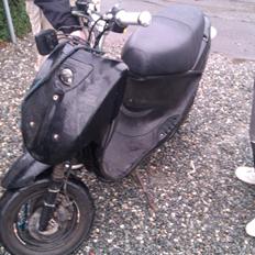 PGO New Ligero