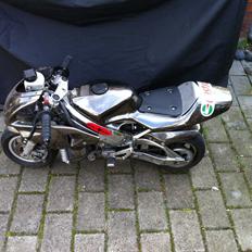 Polini Devilz bike SÆLGES!
