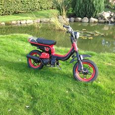 Suzuki FZ50 [SOLGT]