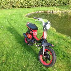 Suzuki FZ50 [SOLGT]