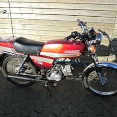 Suzuki DM 50