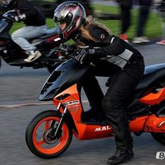 CPI Aragon dk hurtiste-3 stærkeste