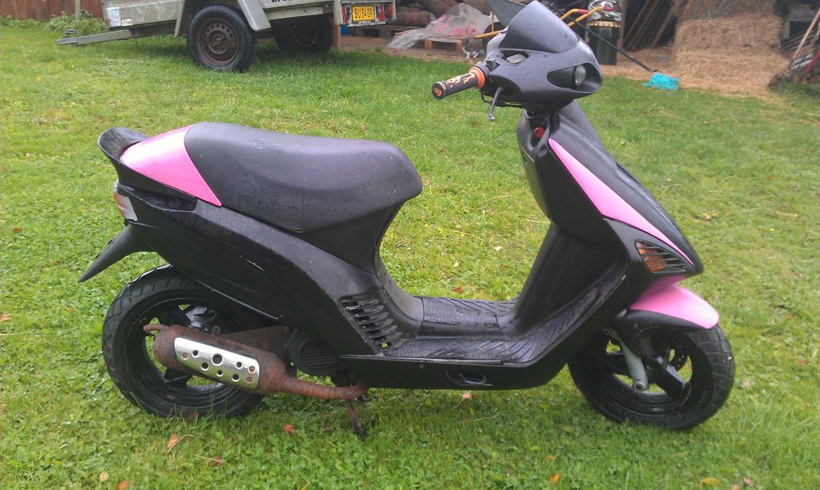 Atala hacker billede 7