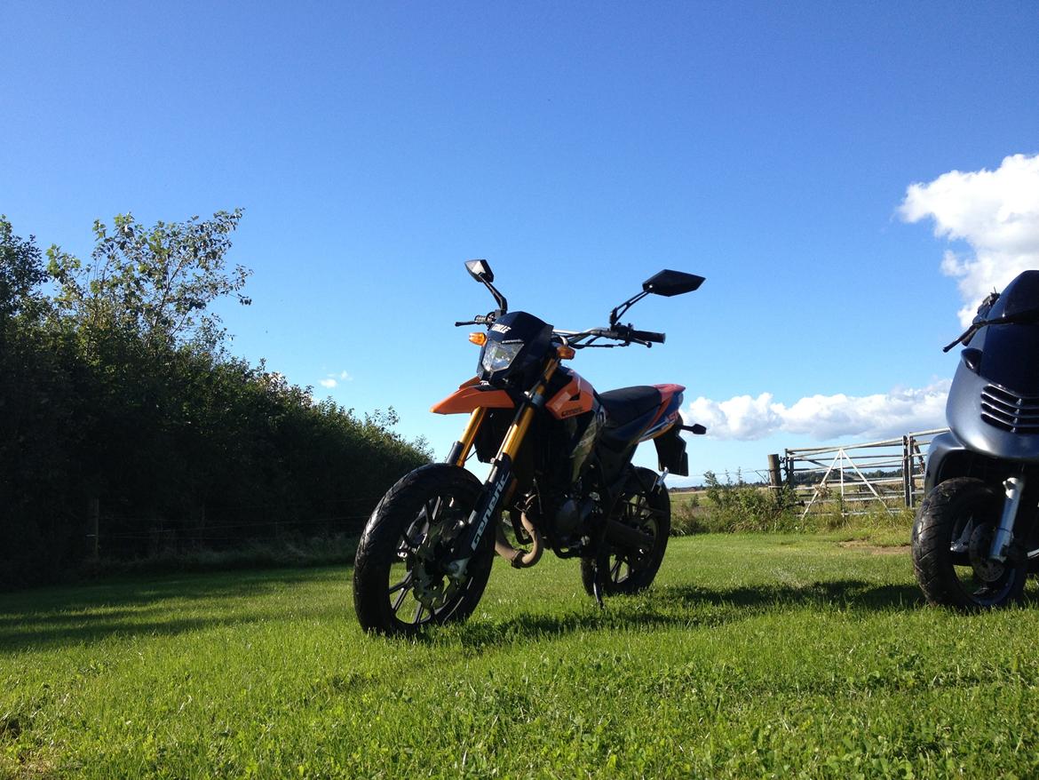 Generic Trigger sm (Trille) billede 11