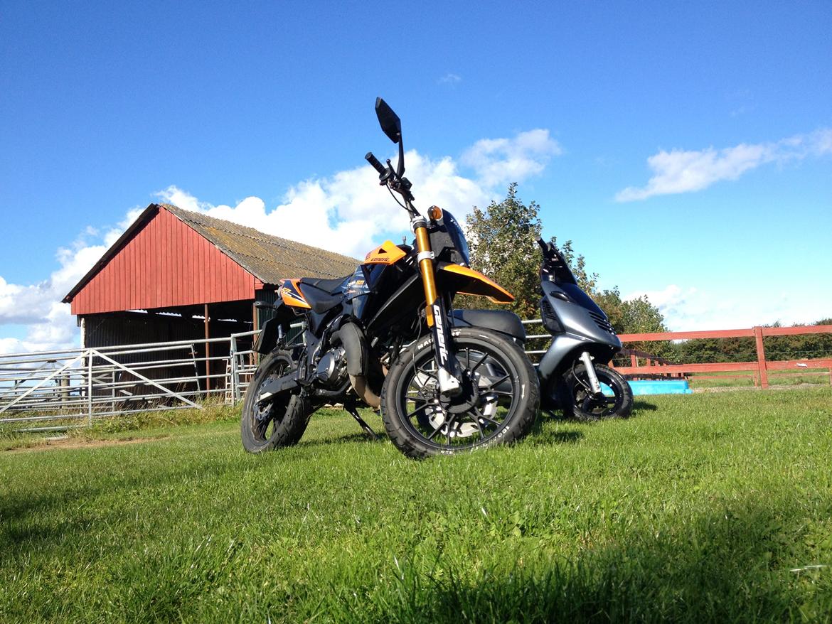 Generic Trigger sm (Trille) billede 12