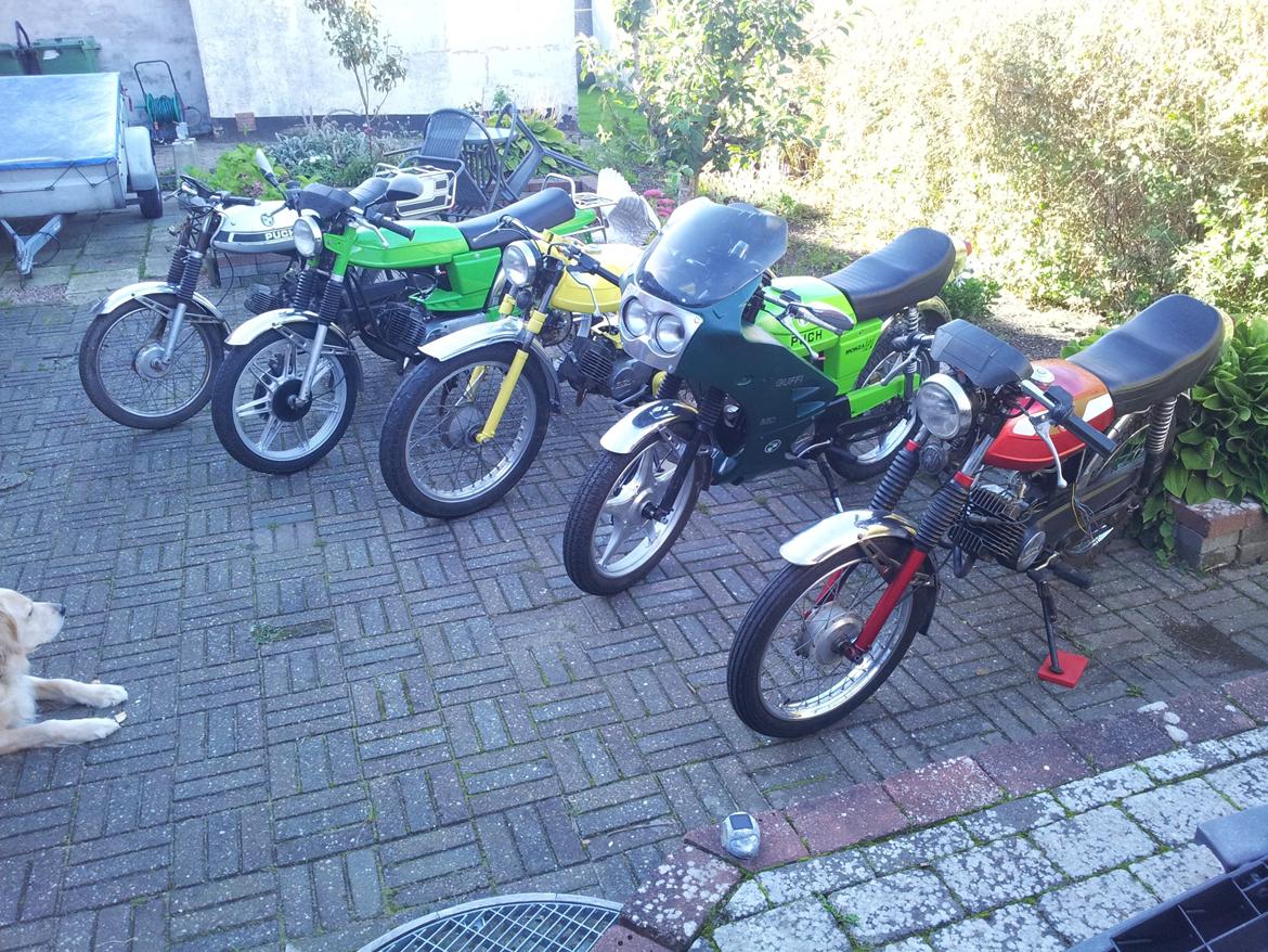 Puch N-SSL Flagskib - Guffi´s mc billede 8