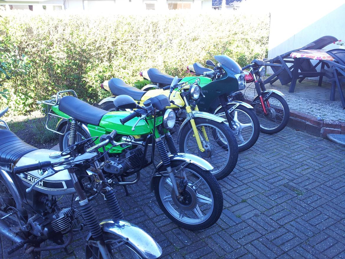 Puch N-SSL Flagskib - den grå og den grønne der står først er mine den gule er kæresten den grønne med kåbe er min onkels og den røde er min ven´s  billede 9