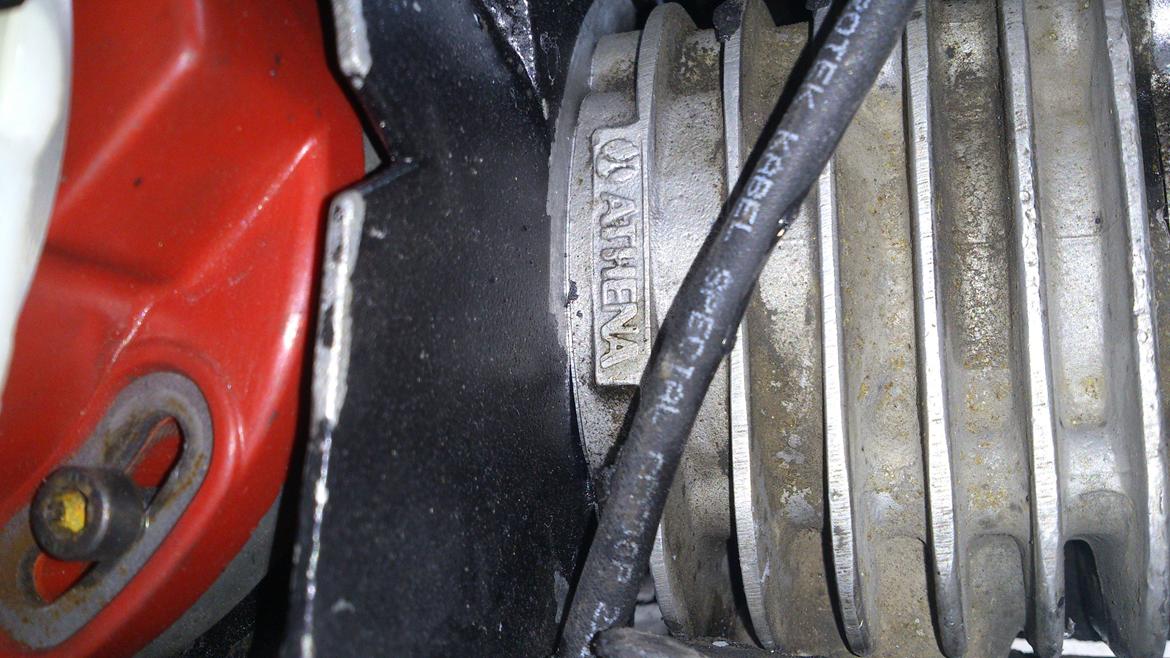 PGO hot 50 Evo billede 5