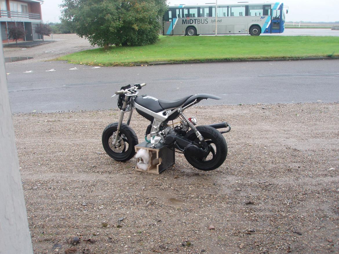 Suzuki Street magic er under om bygning billede 6