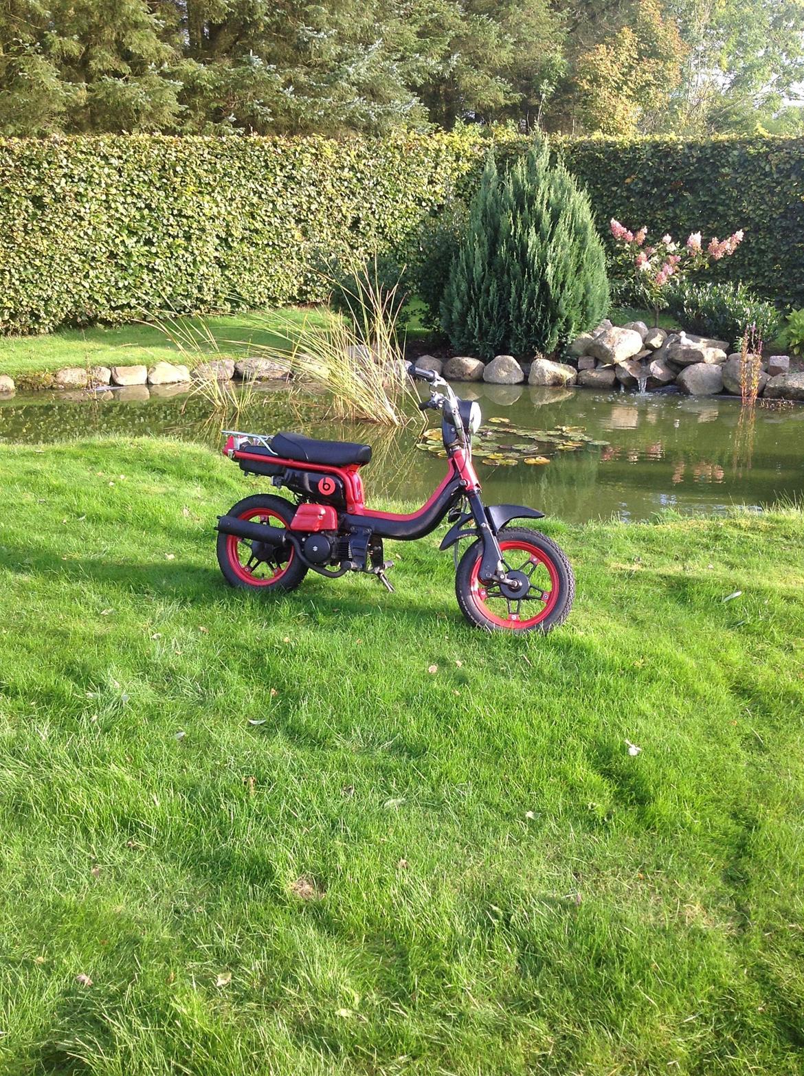 Suzuki FZ50 [SOLGT] billede 7