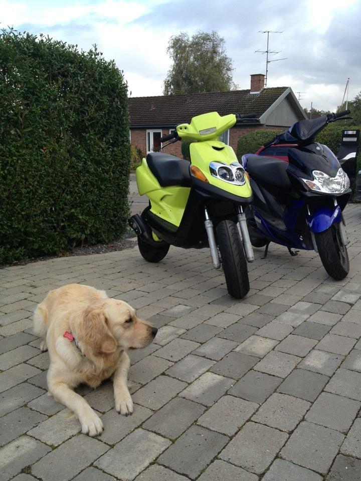 Yamaha BWS billede 1