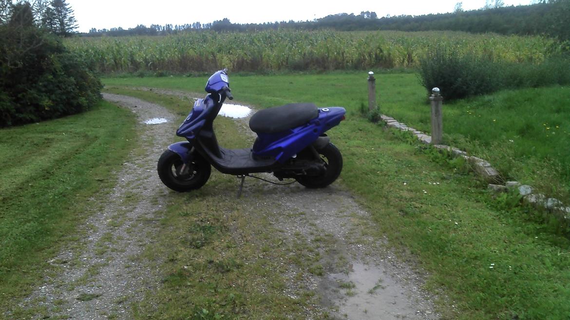 PGO hot 50 billede 1