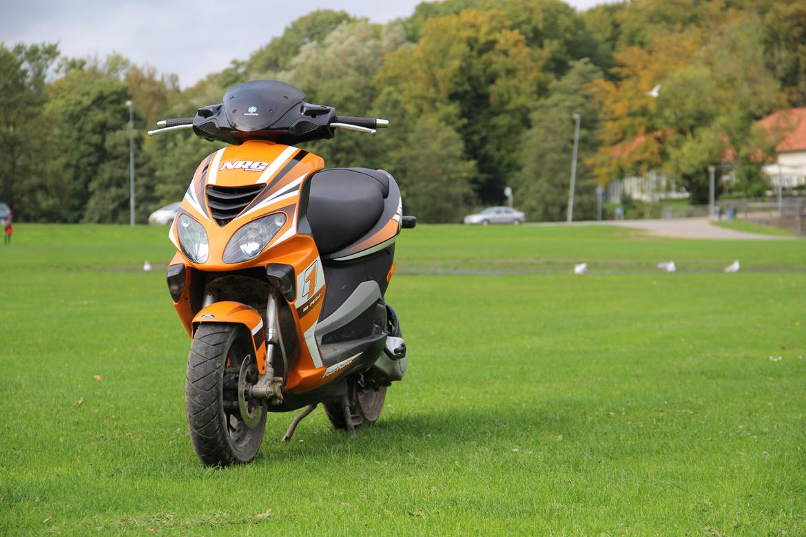Piaggio PIAGGIO NRG POWER billede 5