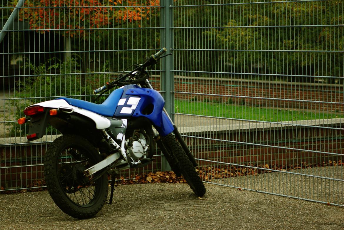 Yamaha DT 50 billede 6