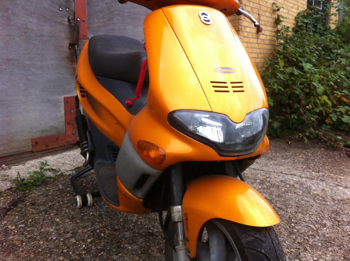 Gilera Runner Ts DD billede 9