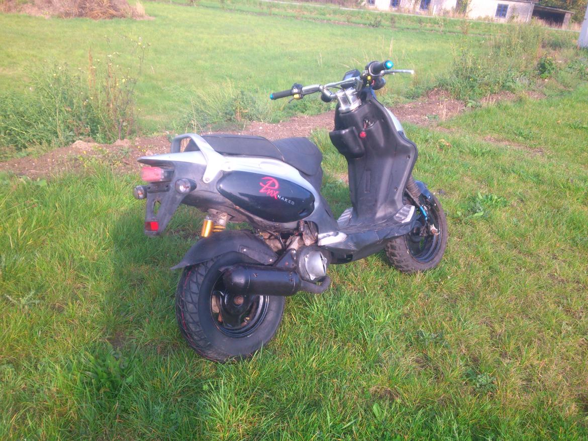 PGO PMX Naked billede 2