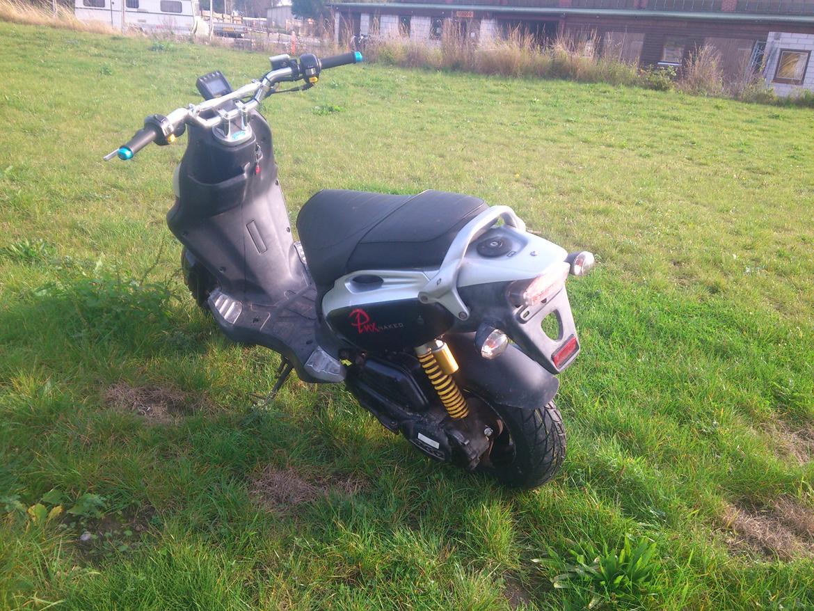 PGO PMX Naked billede 3