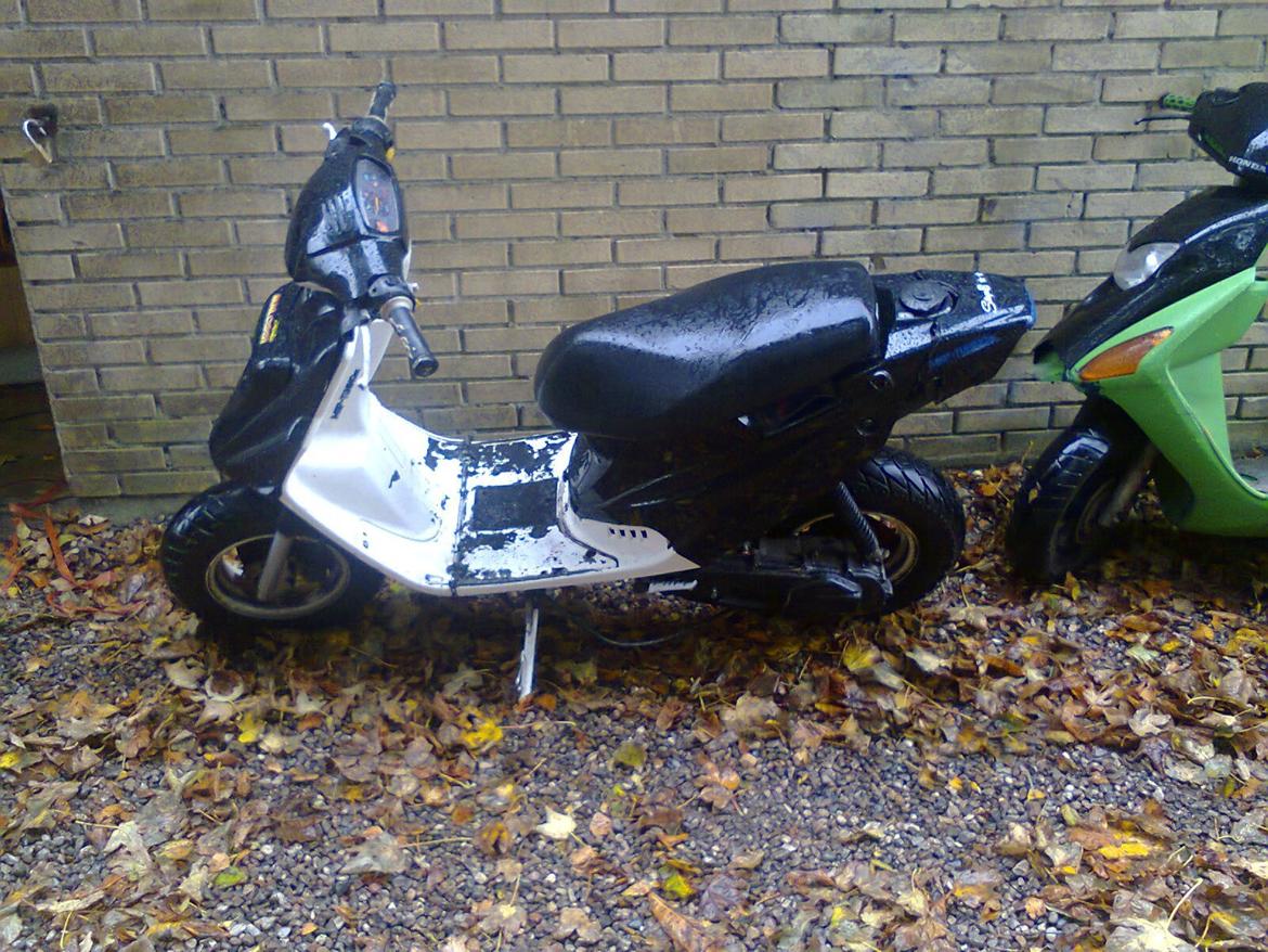 PGO Hot 50 billede 1