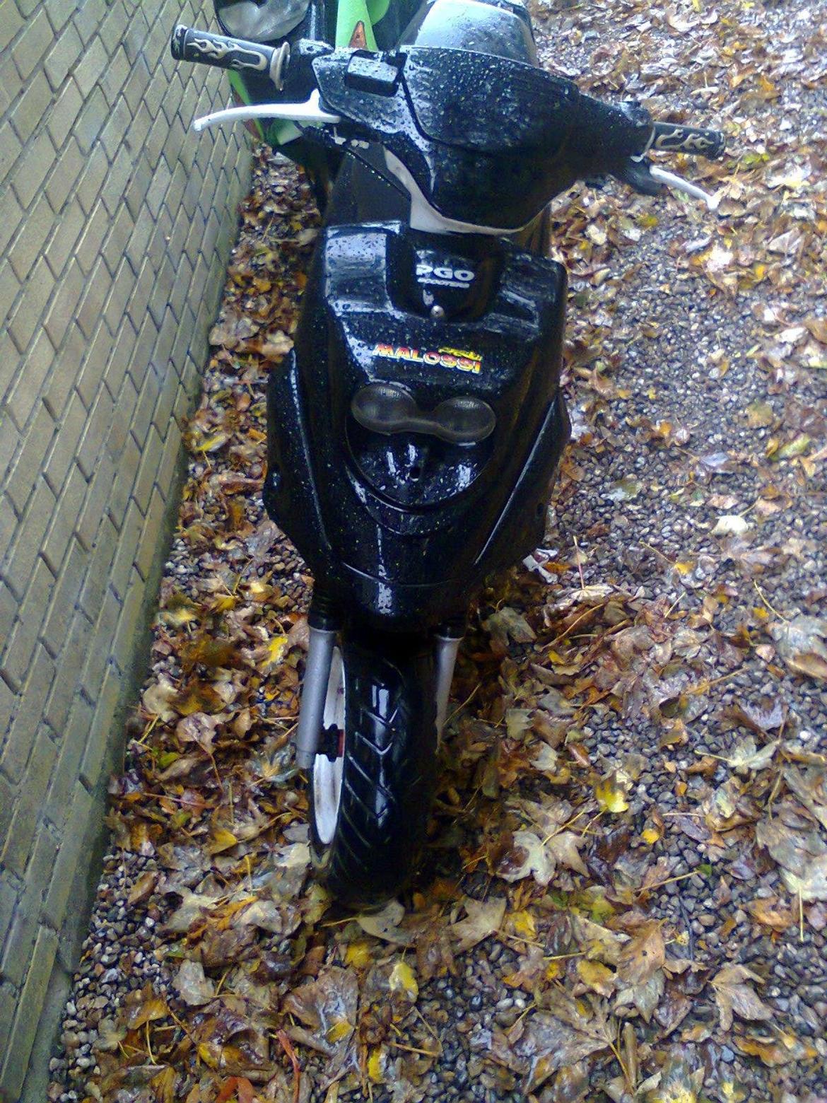 PGO Hot 50 billede 4