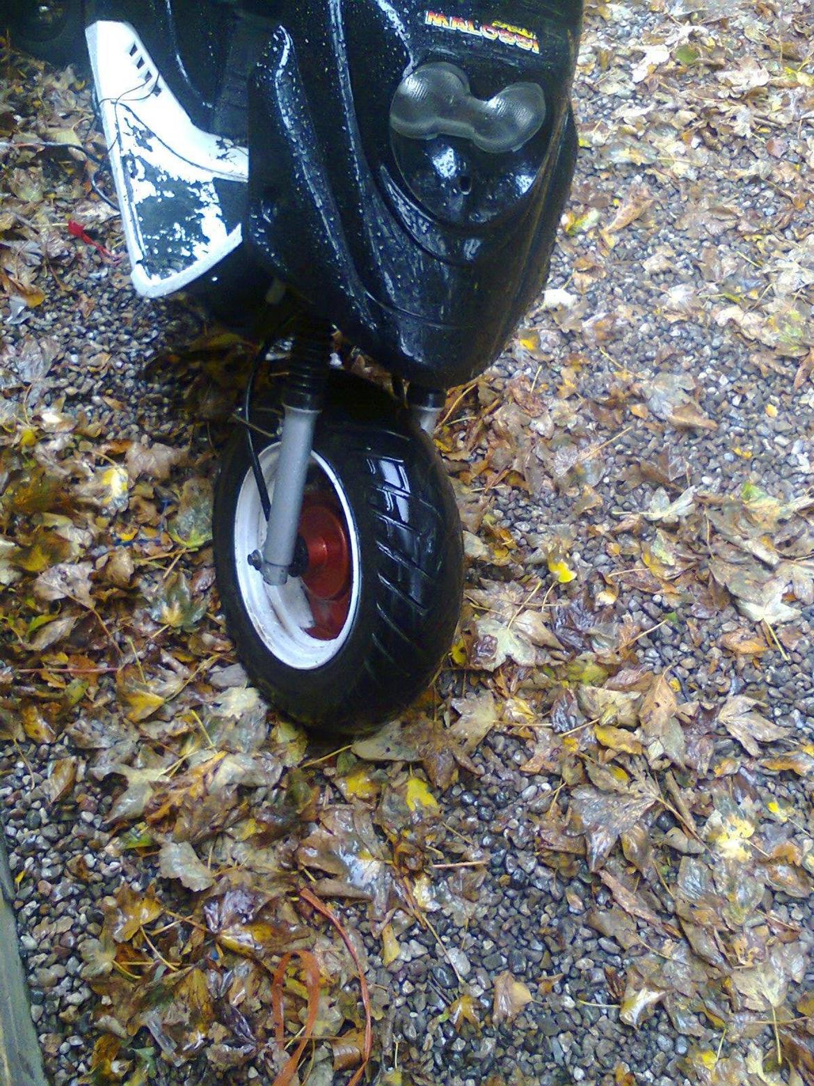 PGO Hot 50 billede 5