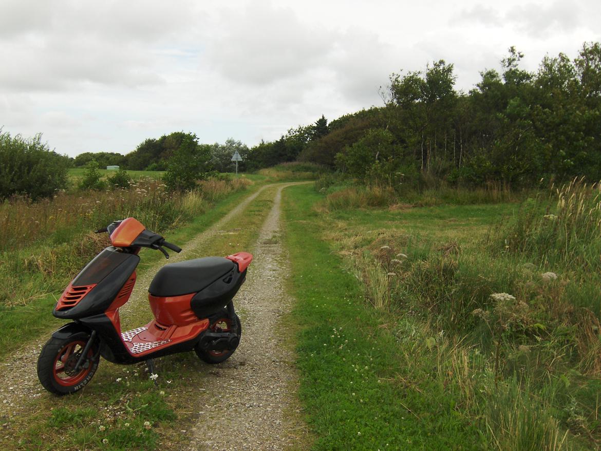 Aprilia Sonic S6 GP billede 2