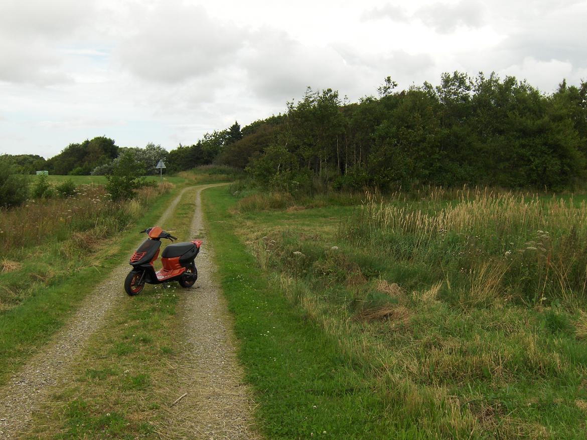 Aprilia Sonic S6 GP billede 15