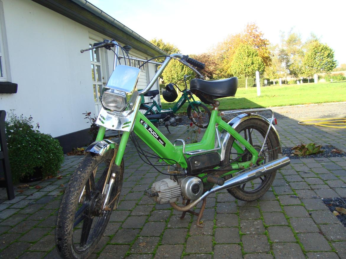 Puch Maxi K Tidl. Knallert billede 1