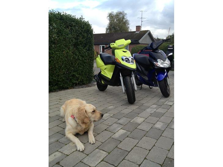 {{currentPhoto.altText}} billede {{currentPhoto.number}}