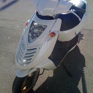 Aprilia Sonic *Perlen*