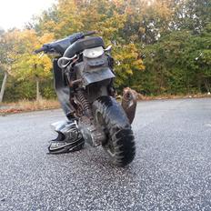 Yamaha Neos S6R (bjørnen