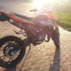 Generic trigger sm 80 (The beast)