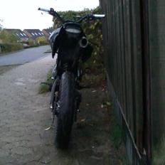 Apollo Orion   ragon