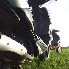 Peugeot speedfight 2