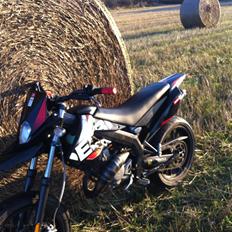 Derbi Derbi Senda DRD Extreme