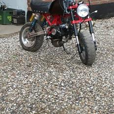 Skyteam Gorilla (SOLGT)