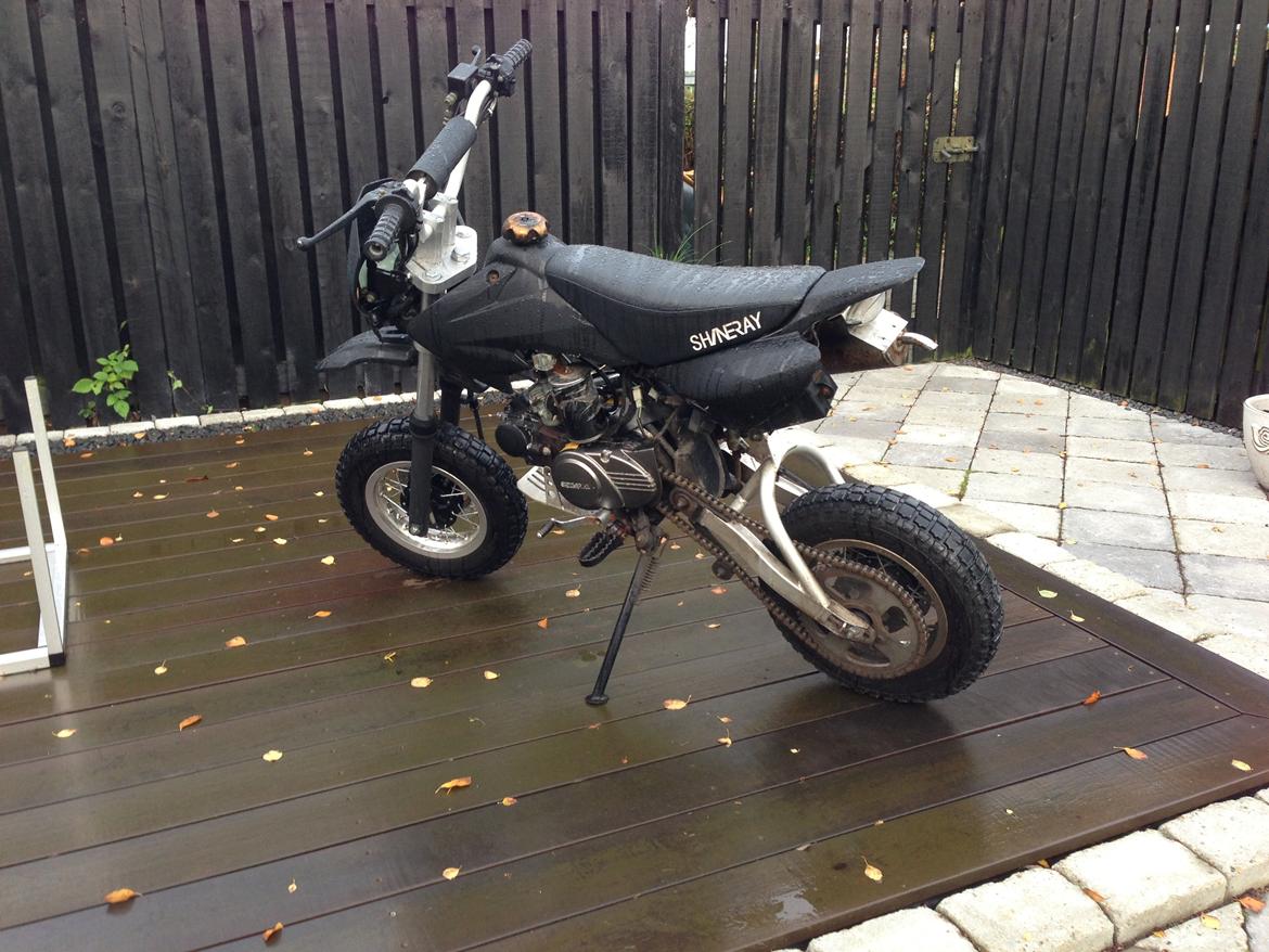 Shineray Topstar billede 5