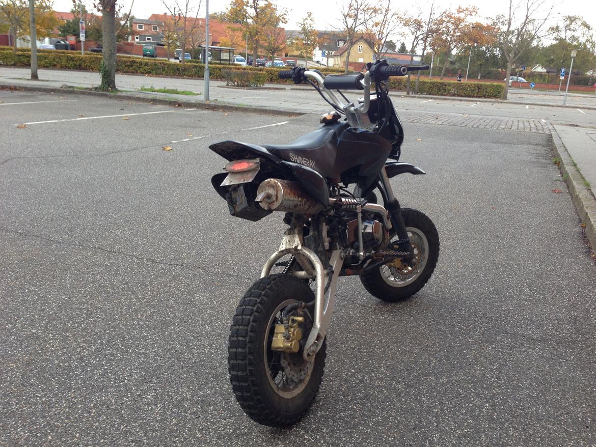 Shineray Topstar billede 2