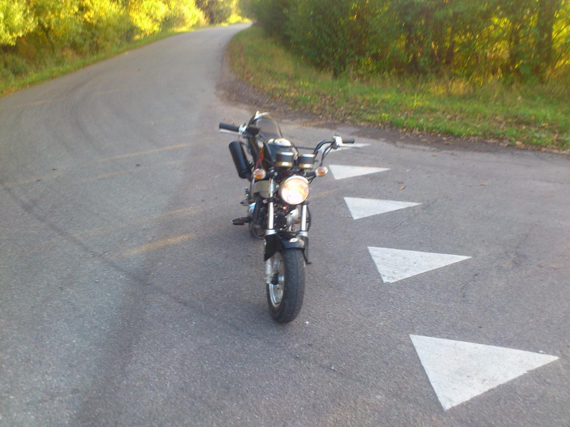 Skyteam pbr bytte billede 1