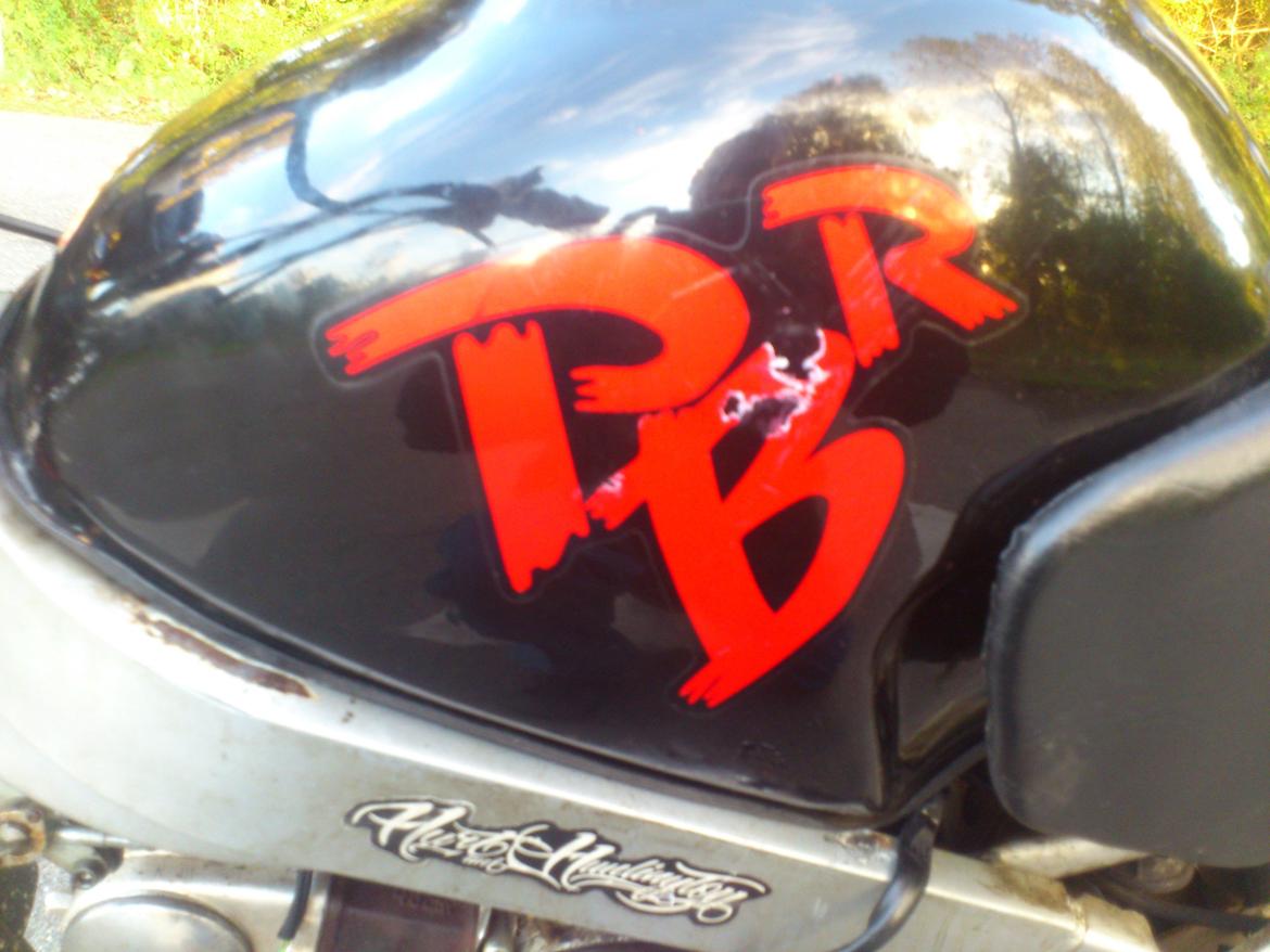 Skyteam pbr bytte billede 6