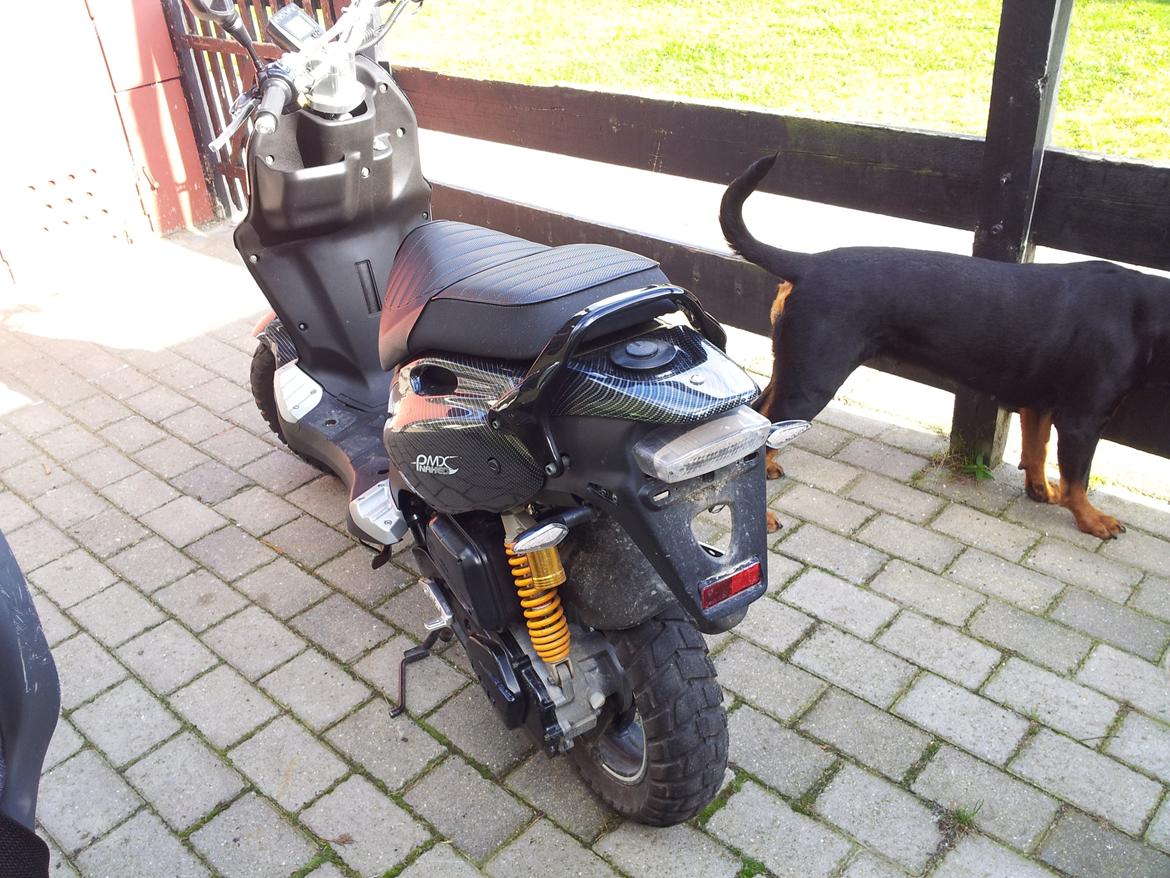 PGO pmx naked (solgt) billede 7