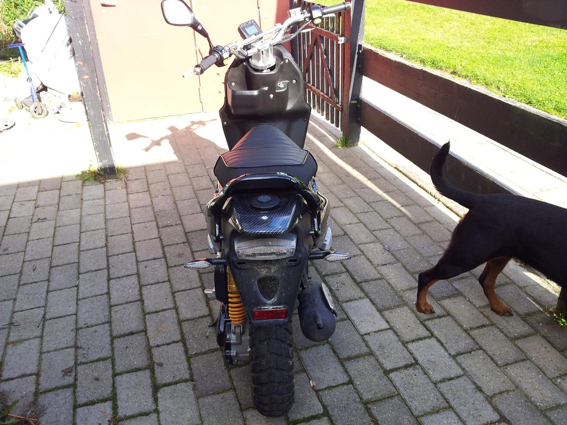 PGO pmx naked (solgt) billede 8