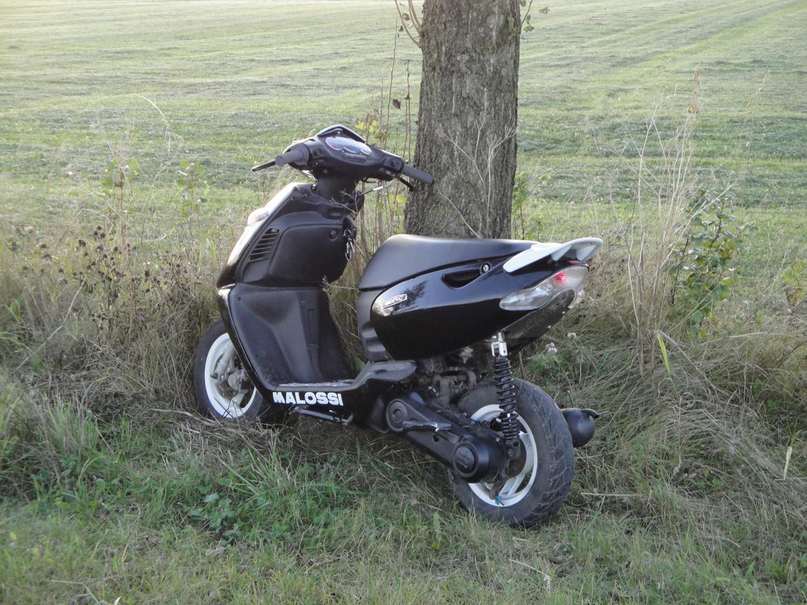 Aprilia Sonic Gp billede 14